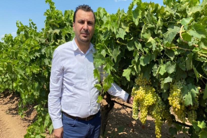 CHP Manisa Milletvekili Bekir Başvirgen 'Üzüm Fiyatı 17 TL’nin Altında Olmamalı'