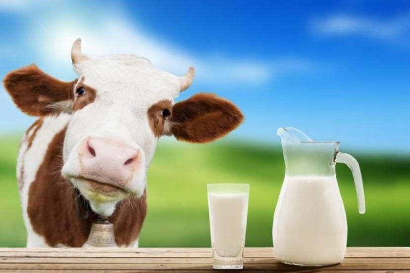 Süt'e yüzde 33 zam! Süt ürünlerinde fiyat artışı kapıda