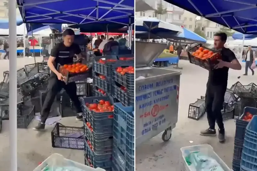 Çorum'da domatesleri çöpe döken pazarcıya milyonluk para cezası