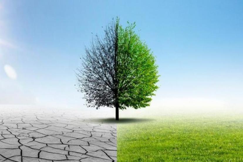 İklim Anlaşması İçin 9 Başlıkta 81 Maddelik Eylem Planı