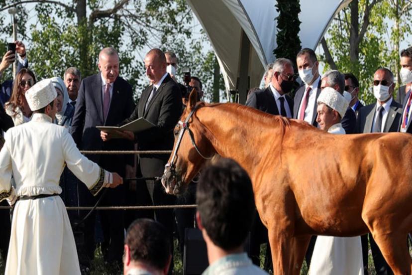 Cumhurbaşkanı Erdoğan'a Azerbaycan'da büyük sürpriz! Aliyev at hediye etti