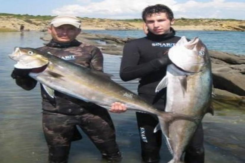 Deniz Yok Dalgıç Çok