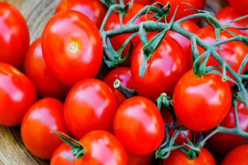 Domatesin Fiyatı 5 Kilometrede Yüzde 176 Arttı