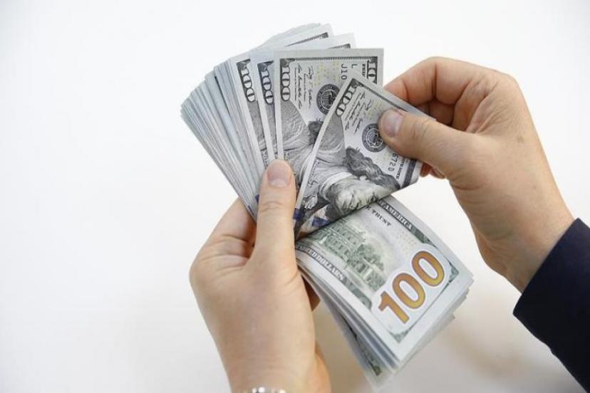 Döviz mevduatlarında düşüş sürüyor: 2 haftada 11 milyar dolar eridi