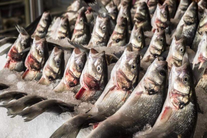 Egeli balıkçıların 11 aylık ihracatı 1 milyar doları aştı