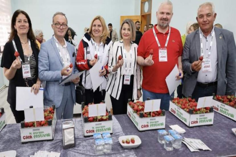 Emiralem Çileği, Yüz Binleri Menemen'de Buluşturdu