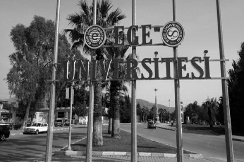 EÜ'de 2.Dalga! Varank-1 Operasyonunda: 25 Gözaltı