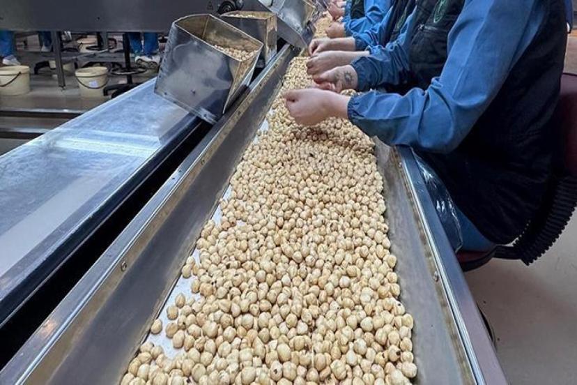 Fındıkta 2,5 milyar dolar ihracat hedefi