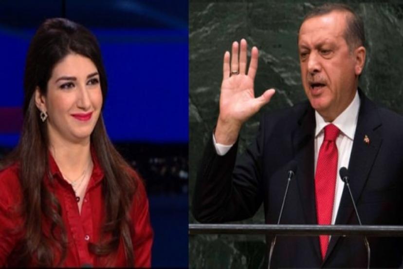  Fransız yazardan Erdoğan çıkışı:Batı hayır demesini bilen bir lider değil, boğun eğen bir lider istiyor