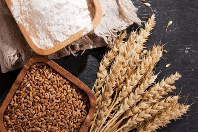 Güldal: Buğday ve arpa depoları dolu, sıkıntı yaşamayız