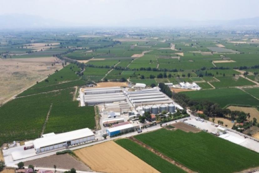 Güres Group’tan ihracat atağı