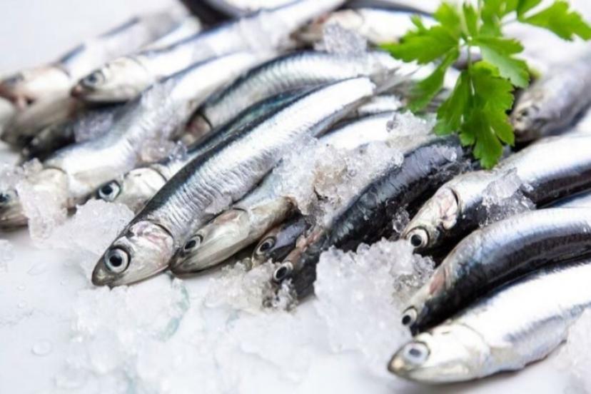 Hamsi Bollaşınca Fiyat 25 TL'ye Düştü