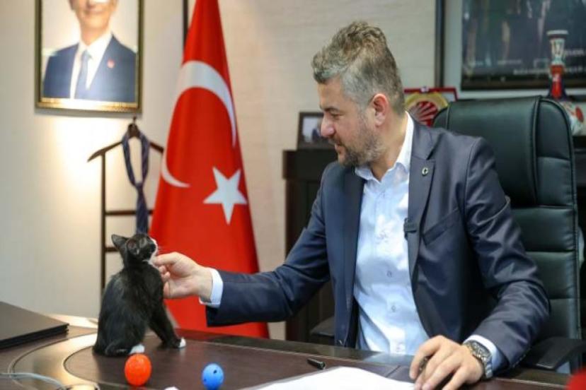 Hayvanları Koruma Günü’nde Başkan Duman’dan çağrı