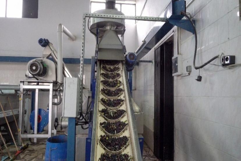 İcradan Alındı, Yeniden Doğdu, Rekora Gidiyor