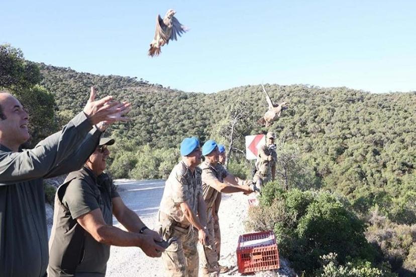 İzmir'de 1500 kınalı keklik doğaya salındı