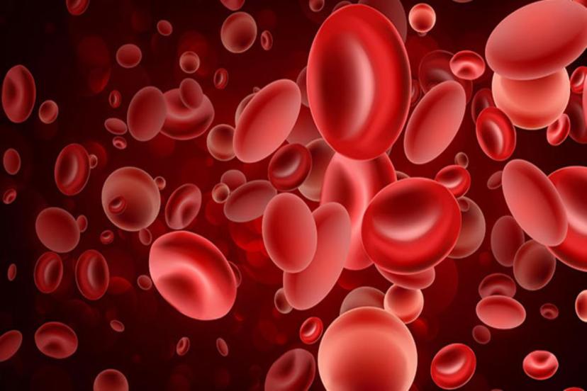 Kan gruplarıyla ilgili bilim camiasında yeri yerinden oynatan araştırma! En sıkıntılısını buldular