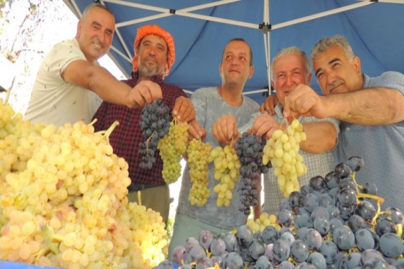 Karaburun'da Üzümün Daveti!