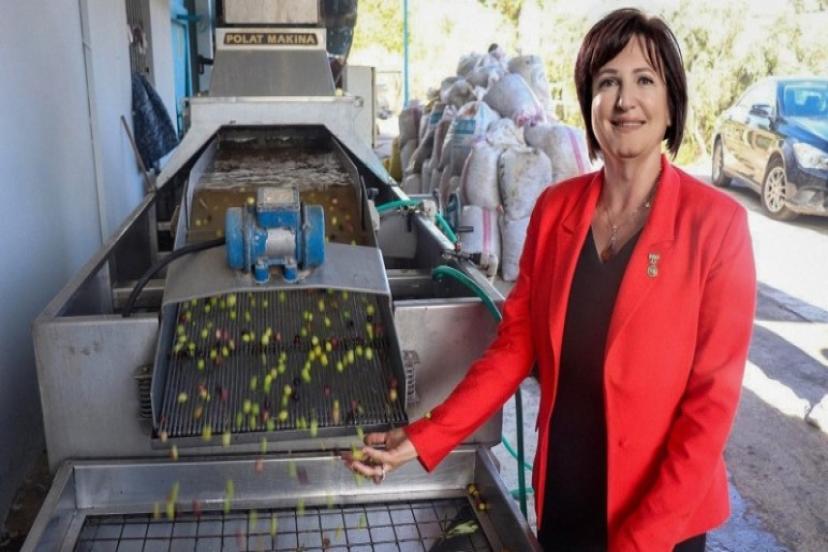 Karaburun’un ünlü ‘furma’ zeytini, marka tescili alan bölgedeki ilk ürün olarak tarihe geçti