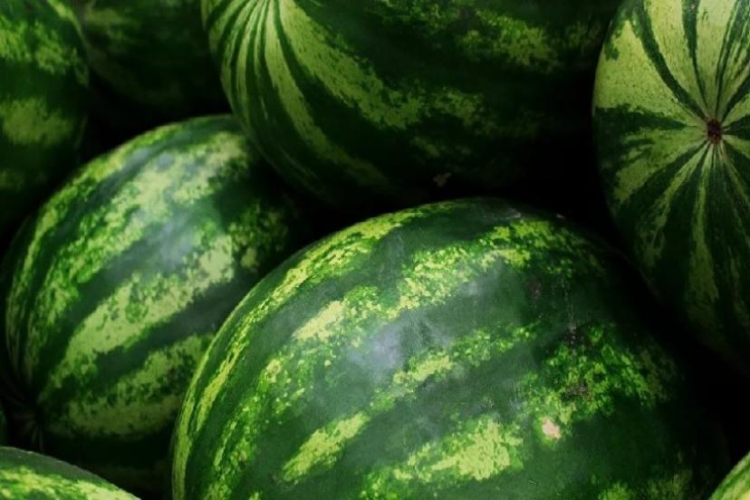 Üretici İle Market Arasında Fiyat Farkında Karpuz Rekor Kırdı