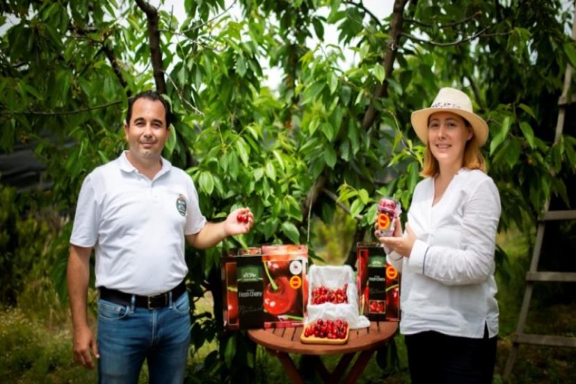 Kemalpaşa Kirazı Tescillendi Yeni Hedef: Dünya Ligi