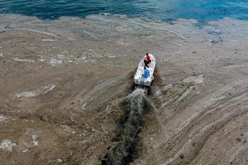 Marmara'yı esir alan deniz salyası için TBMM Araştırma Komisyonu kuruldu