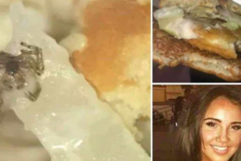 McDonald's hamburgerinden örümcek çıktı