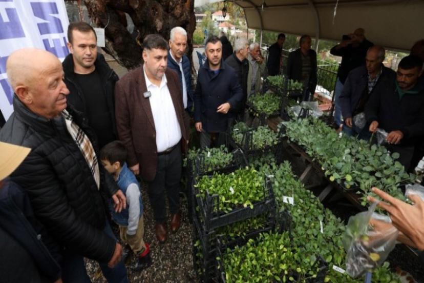 Menderes Belediye Başkan V. Erkan Özkan tarafından ilçede ki üreticilere ücretsiz fide dağıtıldı