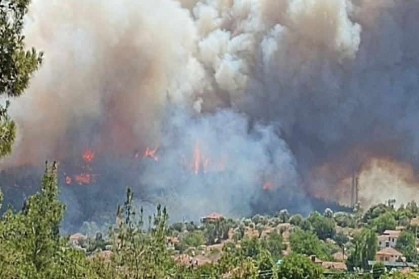 Menderes'teki orman yangını kontrol altına alınmaya çalışılıyor