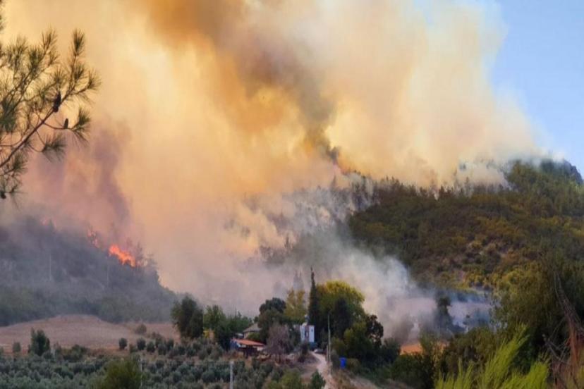 Menderes ve Seferihisar ilçeleri arasında orman yangını çıktı