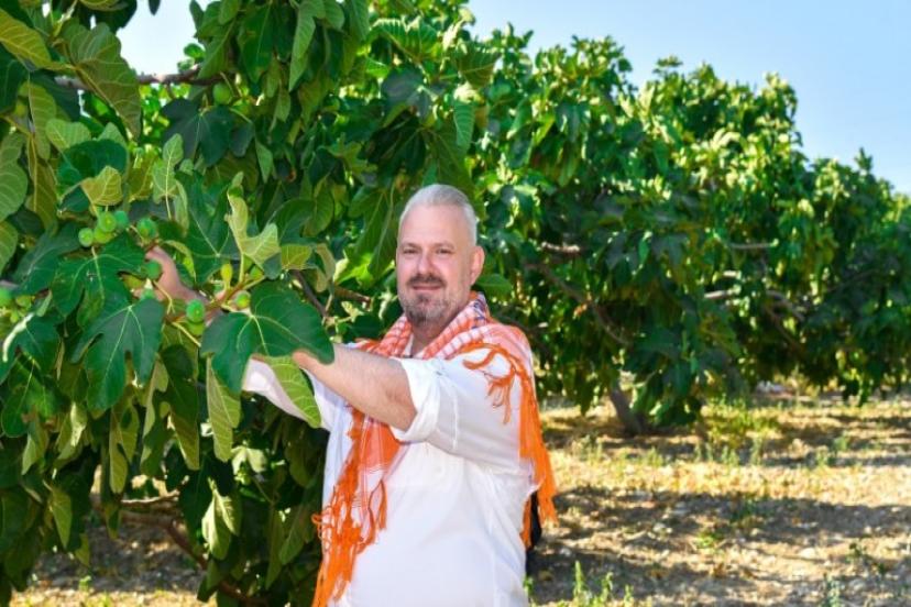 Menemen'de İncir Tadında Festival