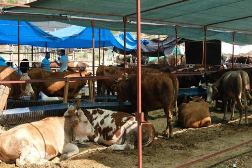 Menemen'de Kurbanlıklara Sıkı Denetim