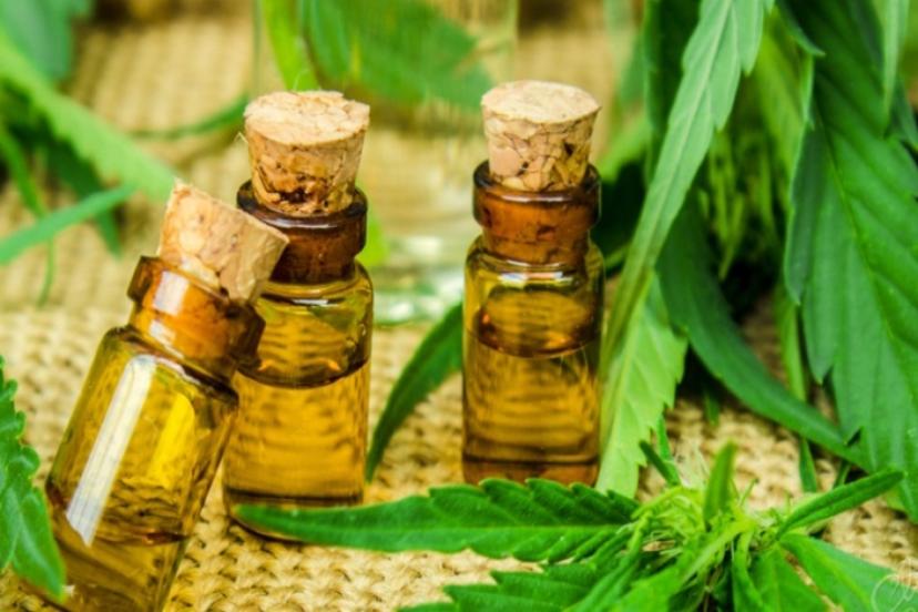 Milyarlarca dolar kazandıracak: İşte ilk yerli kenevirler