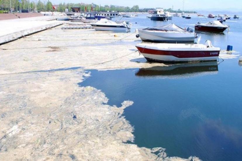 Müsilajın 'Panzehiri' Bulundu! Anında Etkili Oldu