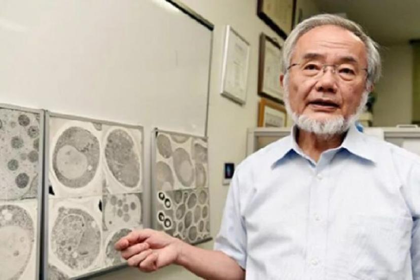 Nobel ödüllü bilim insanından çarpıcı açıklama