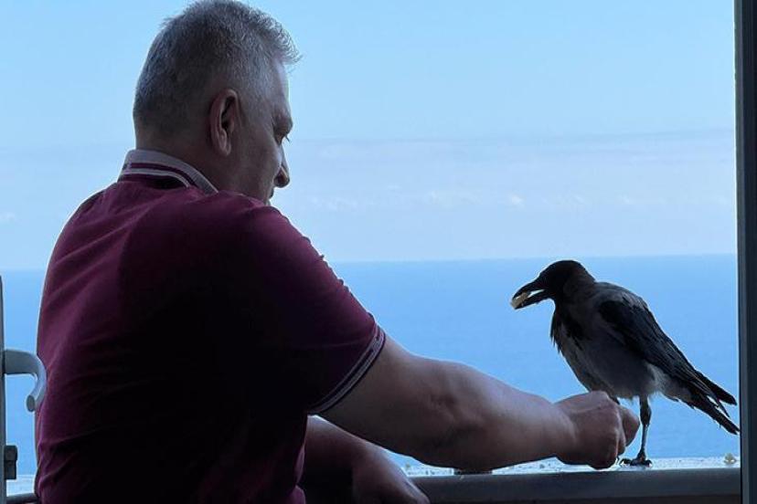 Ordu’da fındıkçıyla karganın sıra dışı dostluğu! 'Şakir evin üçüncü oğlu oldu'