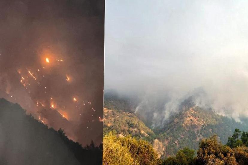 Orman yangını Denizli'den Aydın'a sıçradı: Alevler mahallelere ulaştı