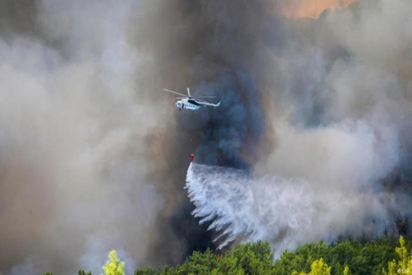 Orman yangınlarına ilişkin bomba açıklama: 10 günlük raporları incelemişler...