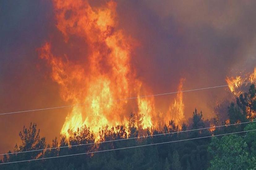Orman yangınlarında ölümcül tuzak: Alev Kırbacı can alıyor