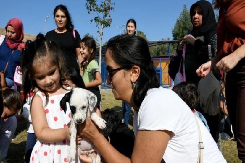 Patili Can Dostlar Artık Hafta Sonları da Ziyaret Edilebilecek