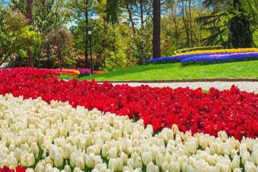 Peyzaj Sektörü İzmir'de Buluşuyor