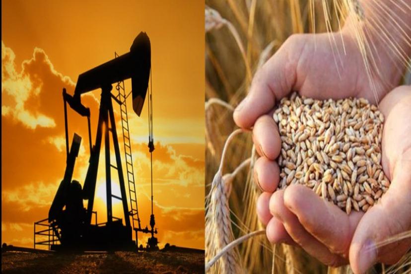 Rekor: Buğdayın Fiyatı Petrolü Geçti!