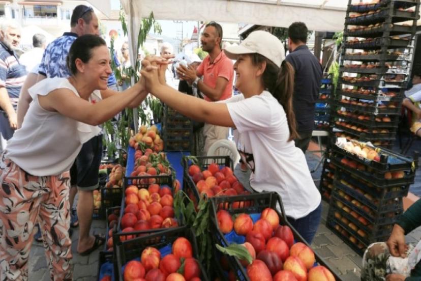Şen Şeftali Şenliği 16 Temmuz'da Eefes Selçuk'ta