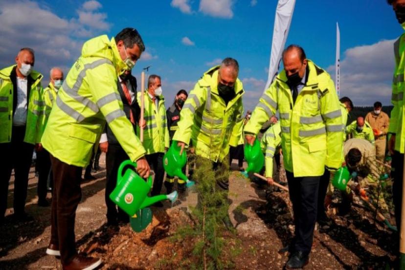 SOCAR Türkiye, Karabağ şehitleri anısına ‘Azerbaycan Karabağ Hatıra Ormanı’ kurdu; ilk fidanlar dikildi