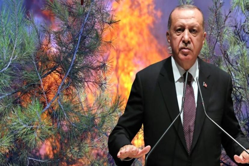 Cumhurbaşkanı Erdoğan, yangınlarda sabotaj iddialarını yanıtladı