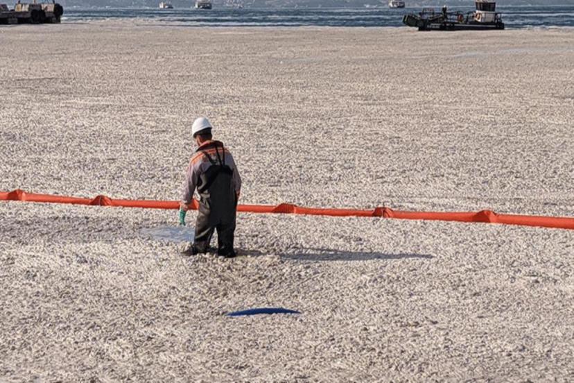 Alınan 550 Numunede Müsilajın Tehlikeli Olmadığı Tespit Edildi