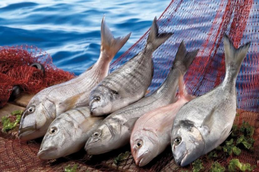 Su ürünleri ihracatı 1,5 milyar dolara koşuyor