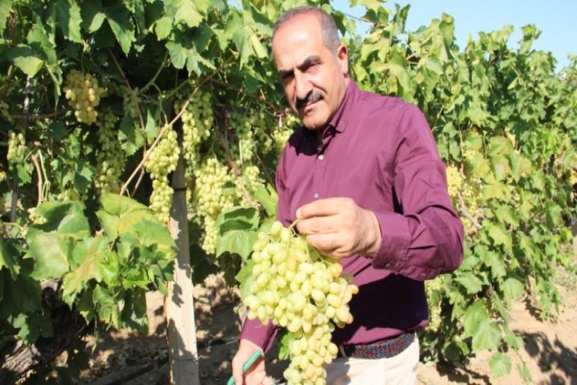 Sultanların tercihi dünyanın tercihi oldu