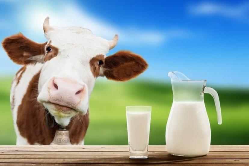 Süte Bir Zam Daha Geliyor! Sıra da Peynir Fiyatları Var?