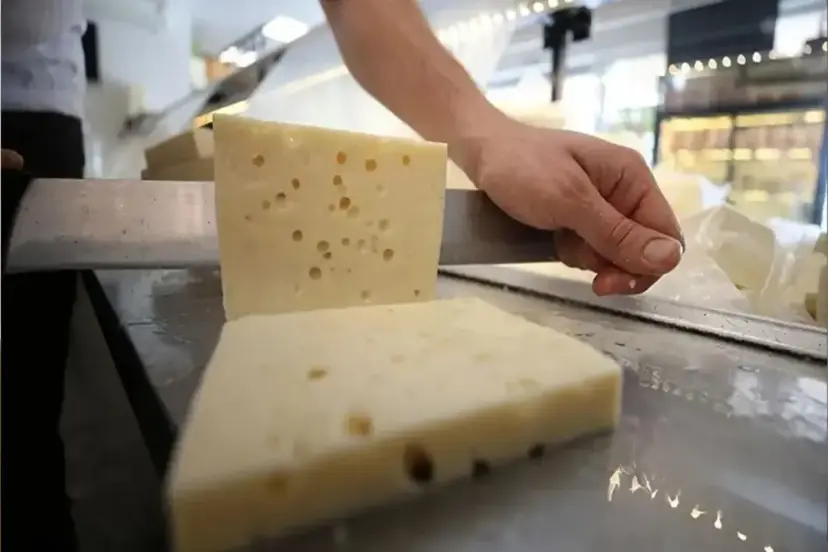 Tağşiş listesinde yer alan peynir markasından konkordato kararı