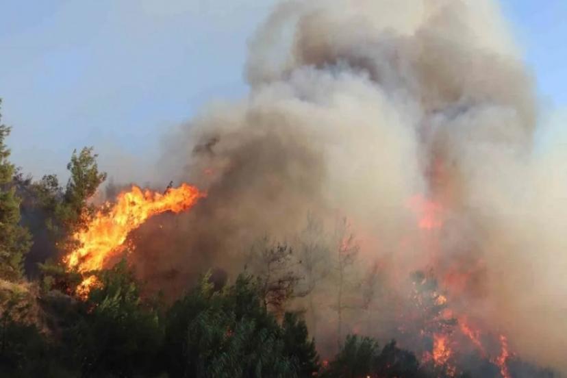 Tarım ve Orman Bakanı Yumaklı: İzmir'deki 3 yangın da kontrol altına alındı